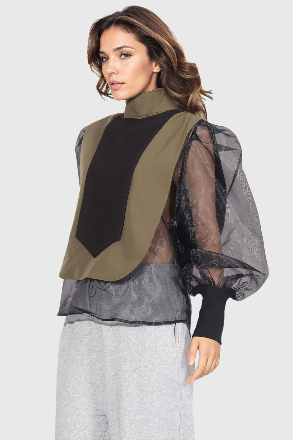 Turtleneck Top with Mesh Sleeves - Black